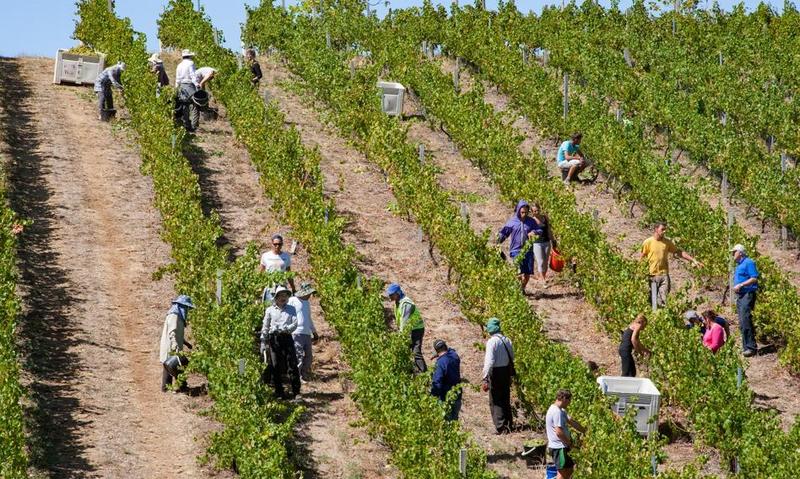 Jak efektywnie szukać pracy sezonowej za granicą?