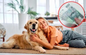 Praktyczny poradnik: jak obliczyć należny podatek od emerytury krok po kroku