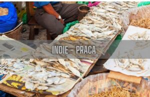 Zarobki w Indiach: Co warto wiedzieć przed podjęciem pracy w tym kraju?