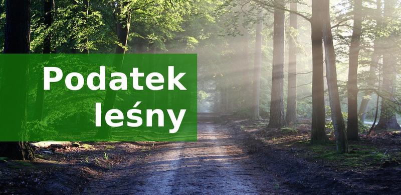 Podatek dochodowy od osób fizycznych terminy