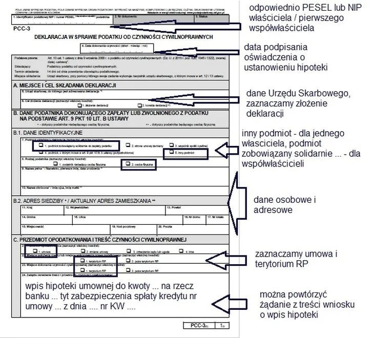 Jak prawidłowo wypełnić formularz PCC-3 krok po kroku