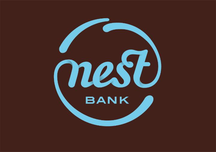 Nest Bank – odkryj, co to jest i co oferuje!