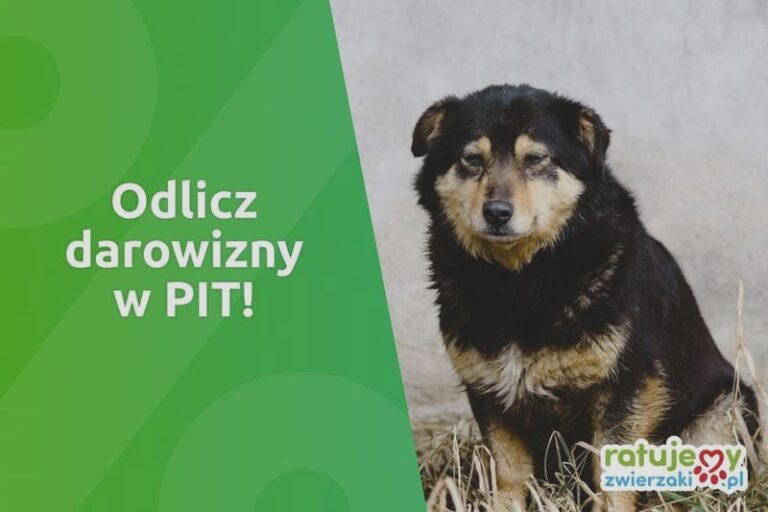 Jakie zasady dotyczą podatku od darowizny od siostry?